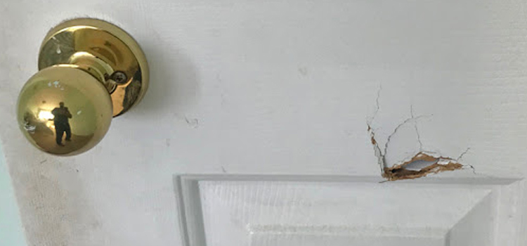 interior door hole repair Bell