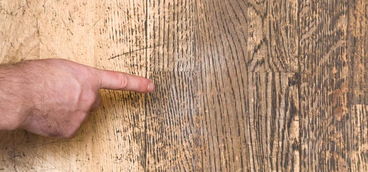 Wood Door Scratch Repair in Bell